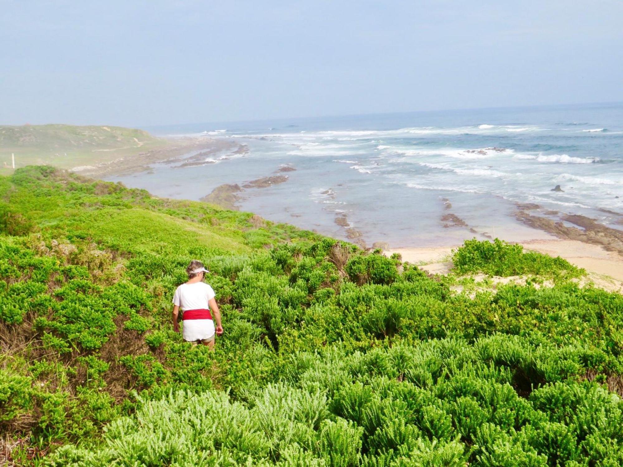 Whistlewood Guesthouse Walmer, Port Eizabeth Port Elizabeth Bagian luar foto