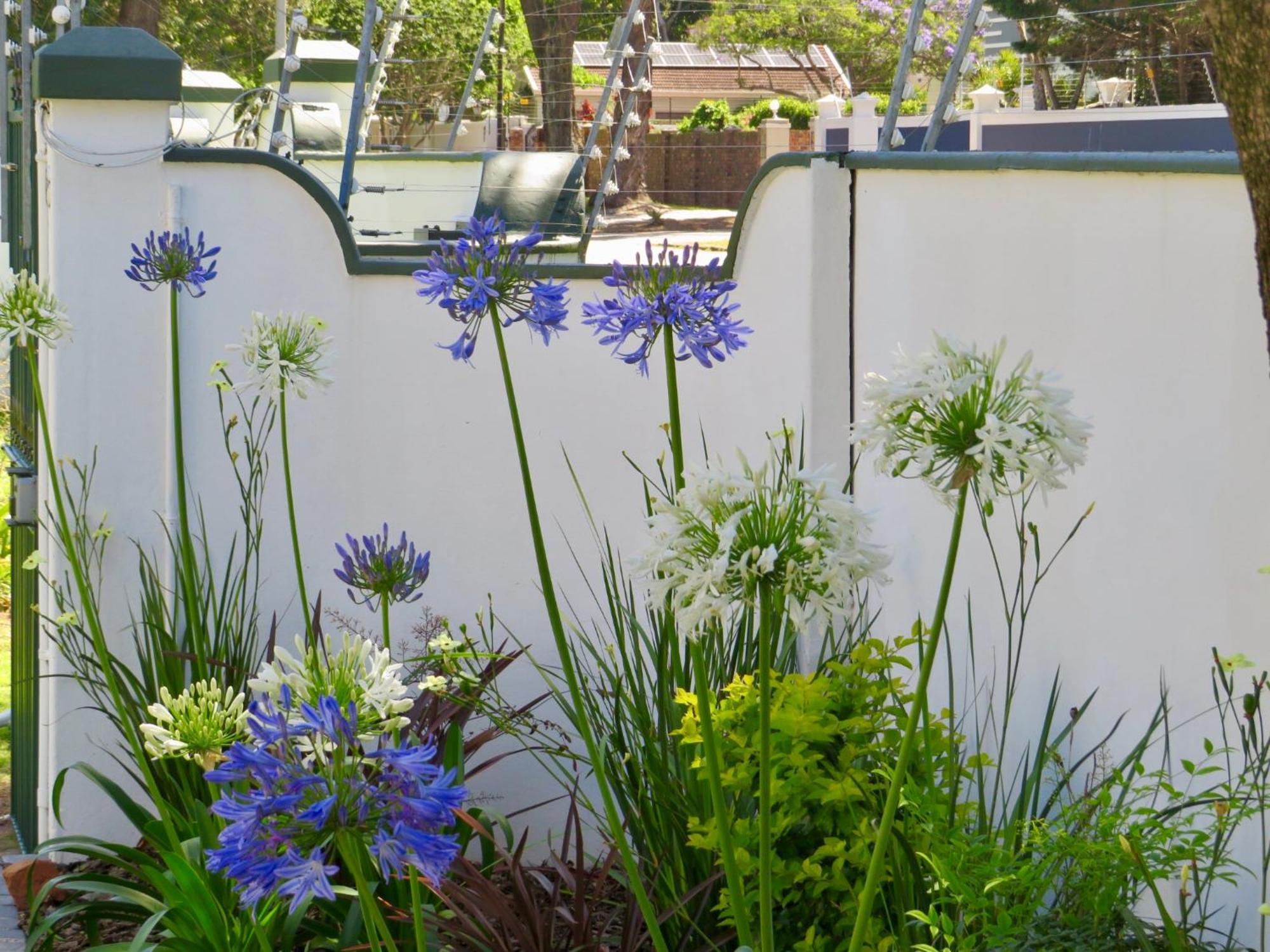 Whistlewood Guesthouse Walmer, Port Eizabeth Port Elizabeth Bagian luar foto