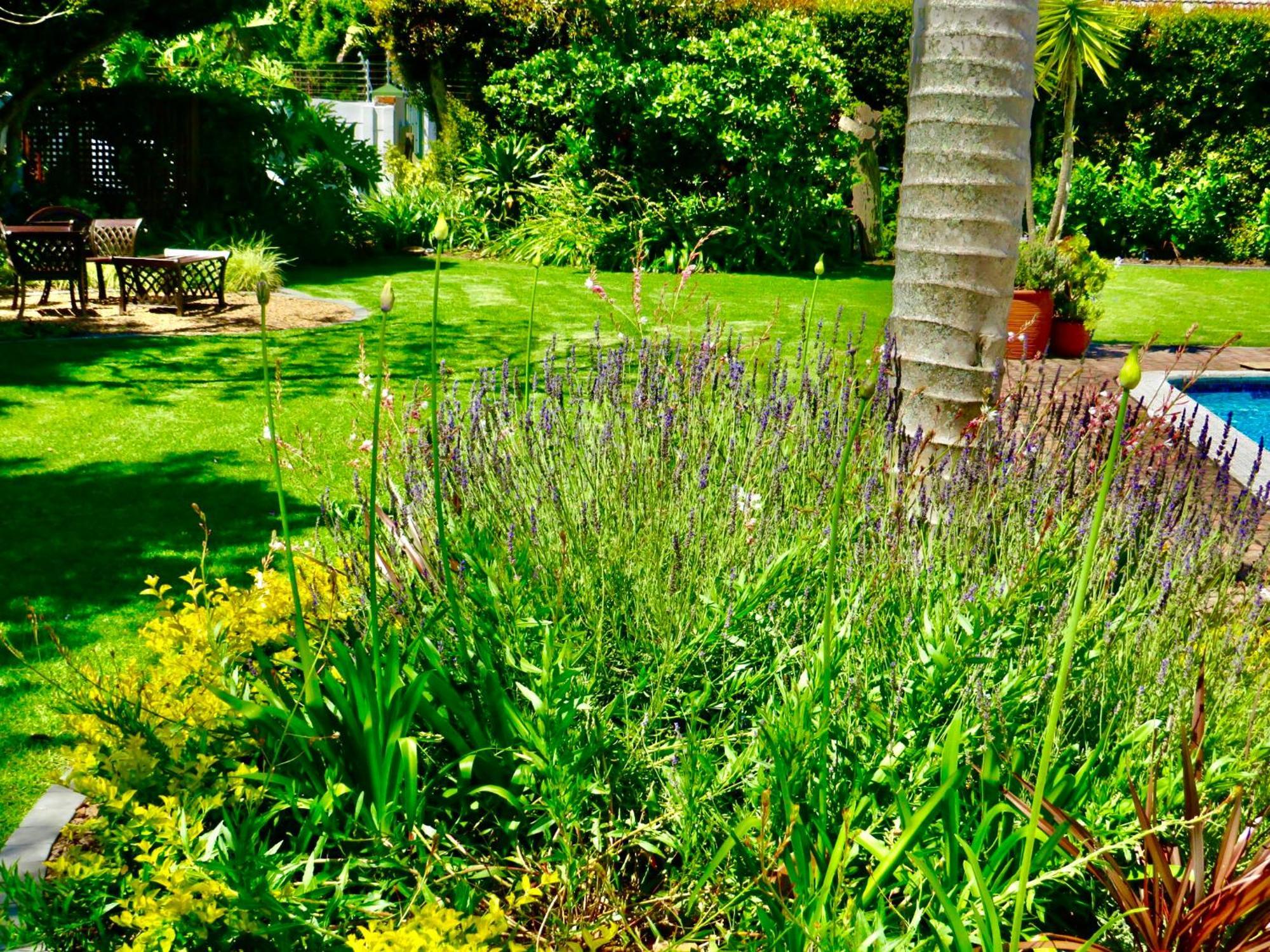 Whistlewood Guesthouse Walmer, Port Eizabeth Port Elizabeth Bagian luar foto