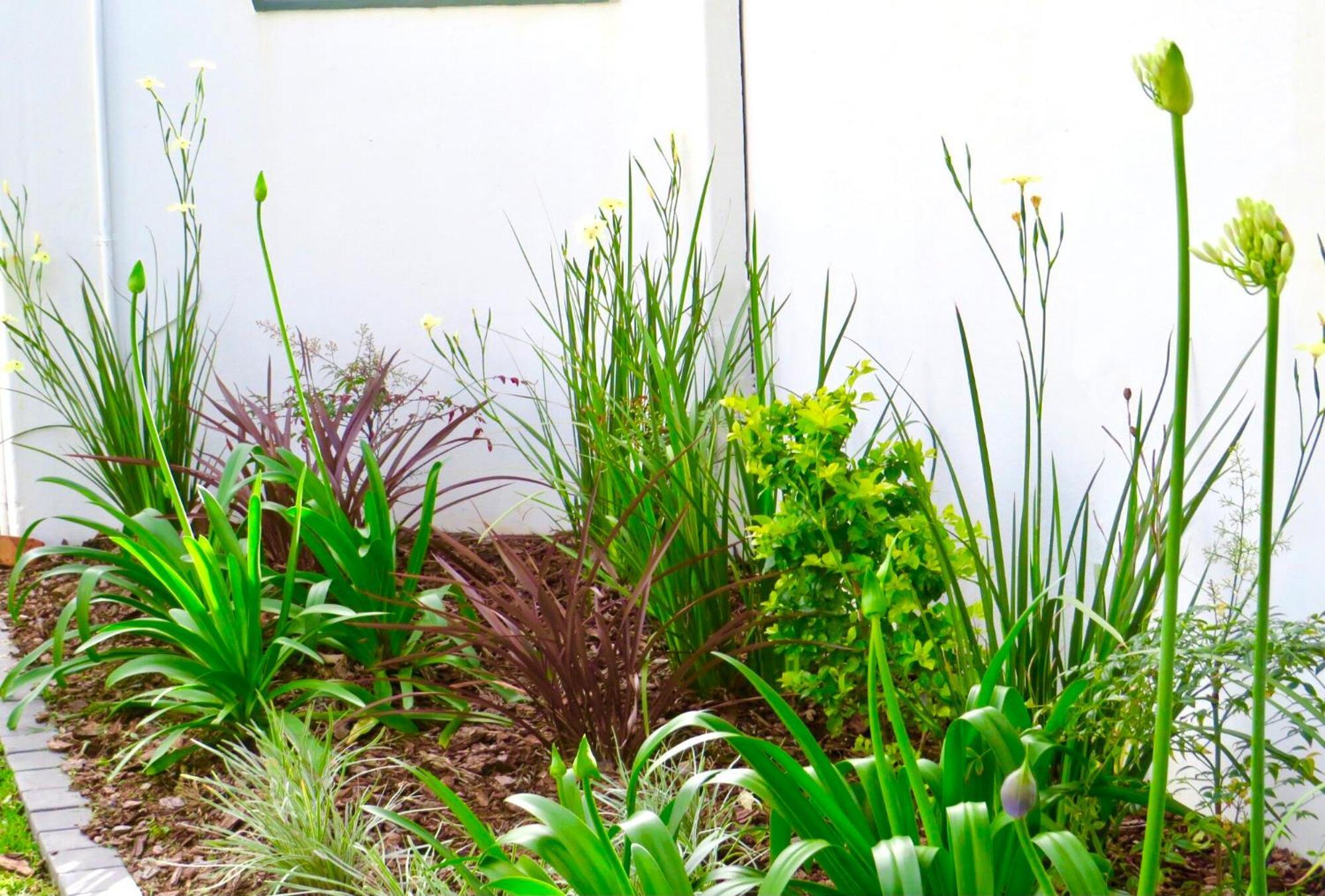 Whistlewood Guesthouse Walmer, Port Eizabeth Port Elizabeth Bagian luar foto