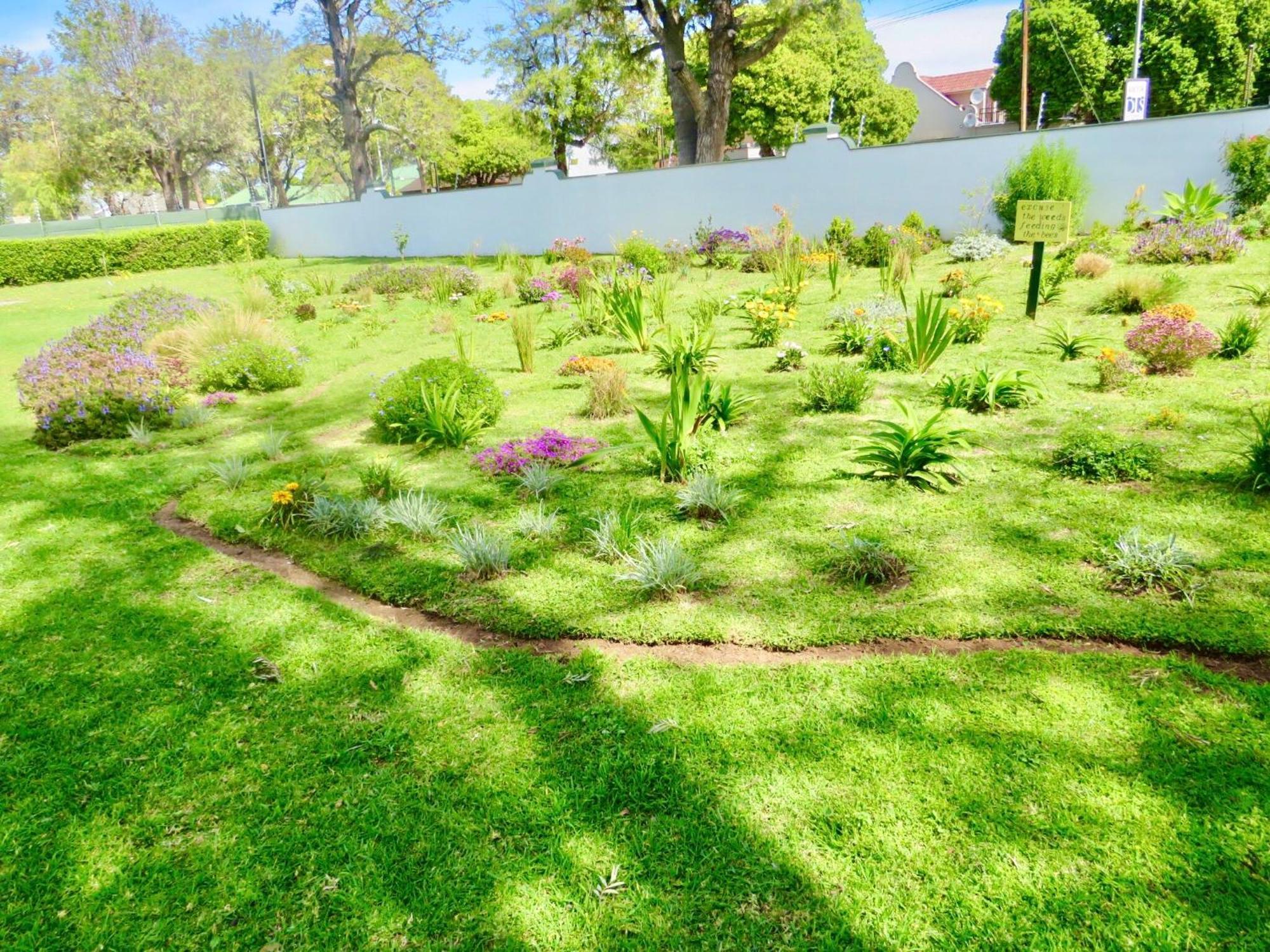 Whistlewood Guesthouse Walmer, Port Eizabeth Port Elizabeth Bagian luar foto