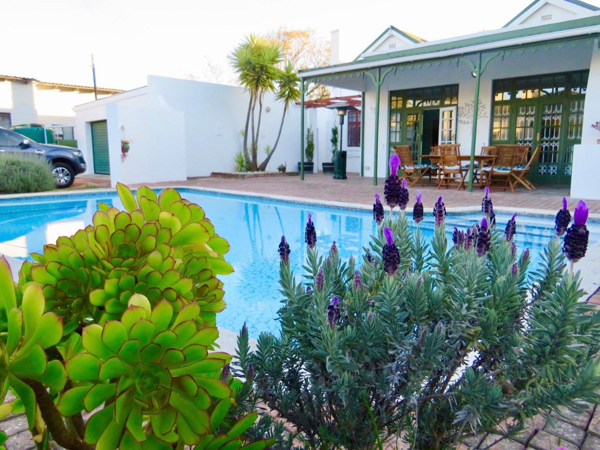 Whistlewood Guesthouse Walmer, Port Eizabeth Port Elizabeth Bagian luar foto