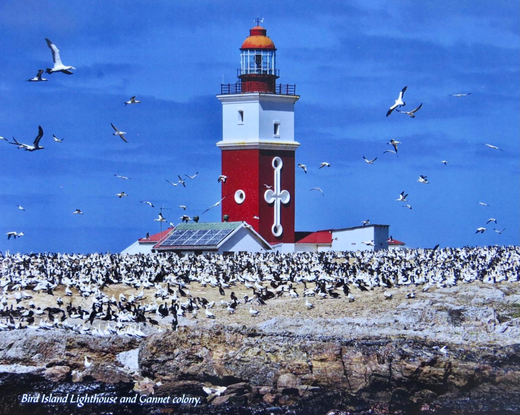Whistlewood Guesthouse Walmer, Port Eizabeth Port Elizabeth Bagian luar foto