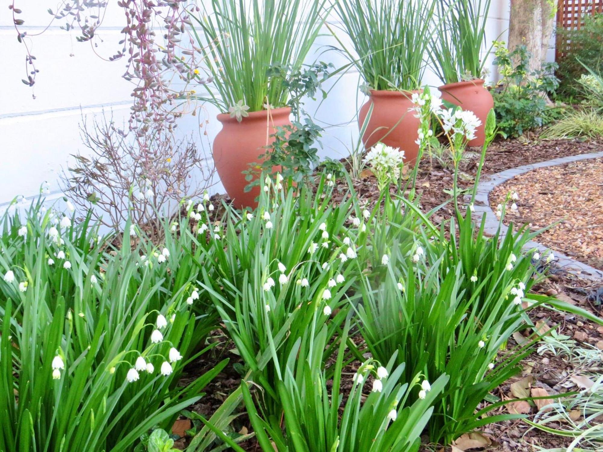 Whistlewood Guesthouse Walmer, Port Eizabeth Port Elizabeth Bagian luar foto