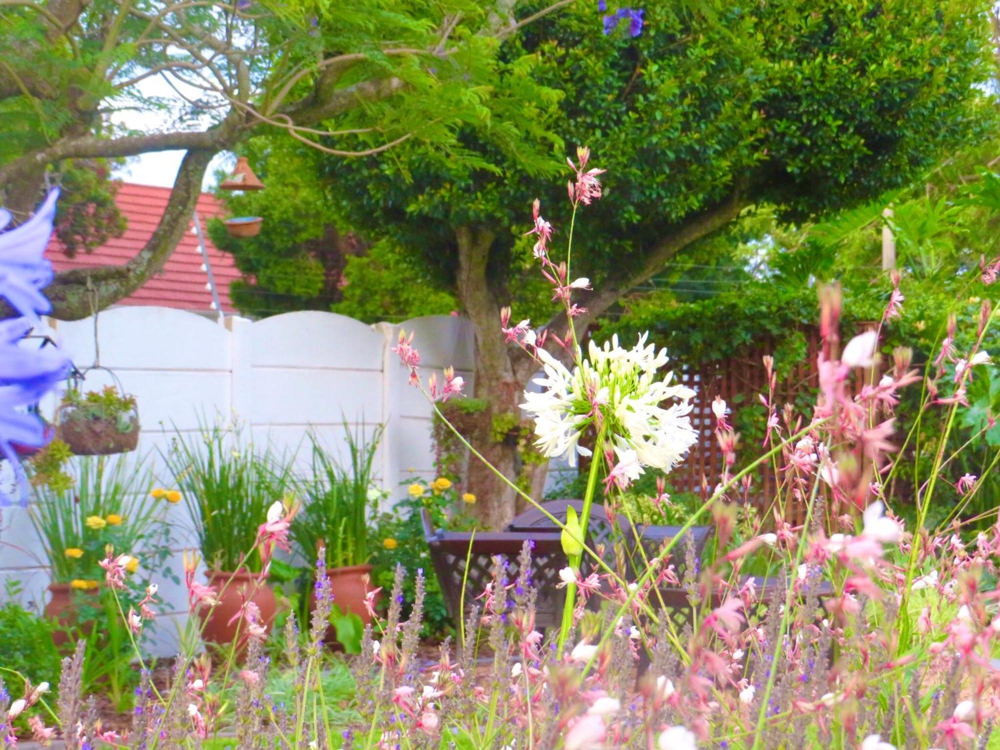 Whistlewood Guesthouse Walmer, Port Eizabeth Port Elizabeth Bagian luar foto
