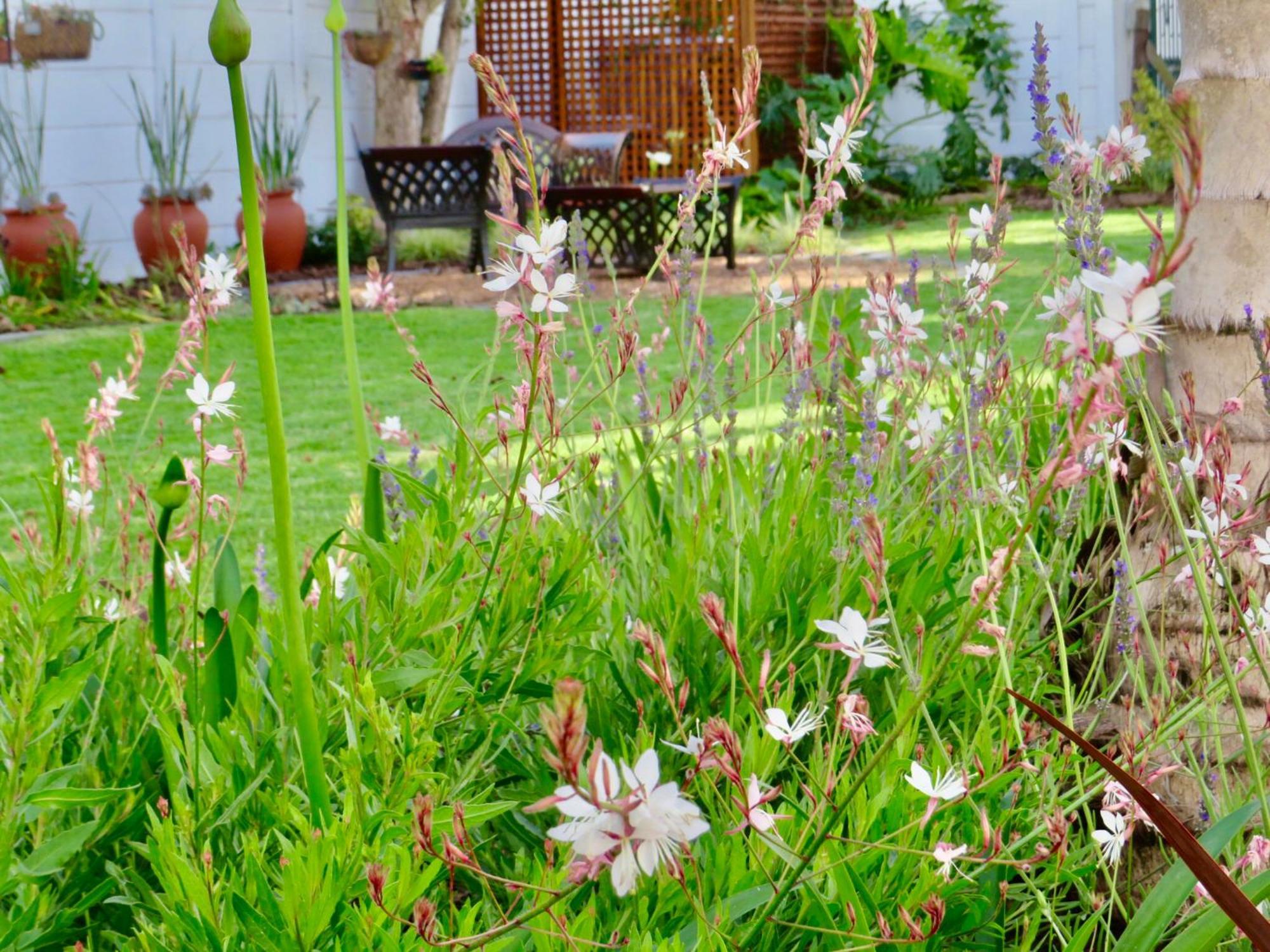 Whistlewood Guesthouse Walmer, Port Eizabeth Port Elizabeth Bagian luar foto